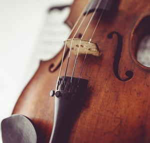 The-Musicians-Ultimate-Guide-To-Violin-Strings-Blog2