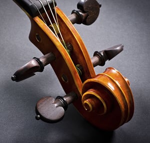 The-Musicians-Ultimate-Guide-To-Violin-Strings-Blog5