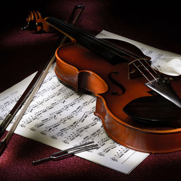 vores børn Lånte 3 Steps to Tuning Your Violin