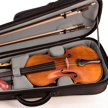 violin case VENTO - ARTONUS - professional security for your instrument