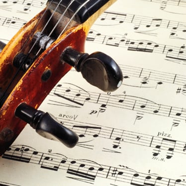 Musical Terms Glossary - Strings
