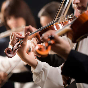 What Instruments Are In The Orchestral String Family String overview and characteristics the string family is the largest family in the entire orchestra, with up to 60 players in the ensemble. orchestral string family