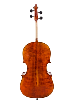 SR85M - back