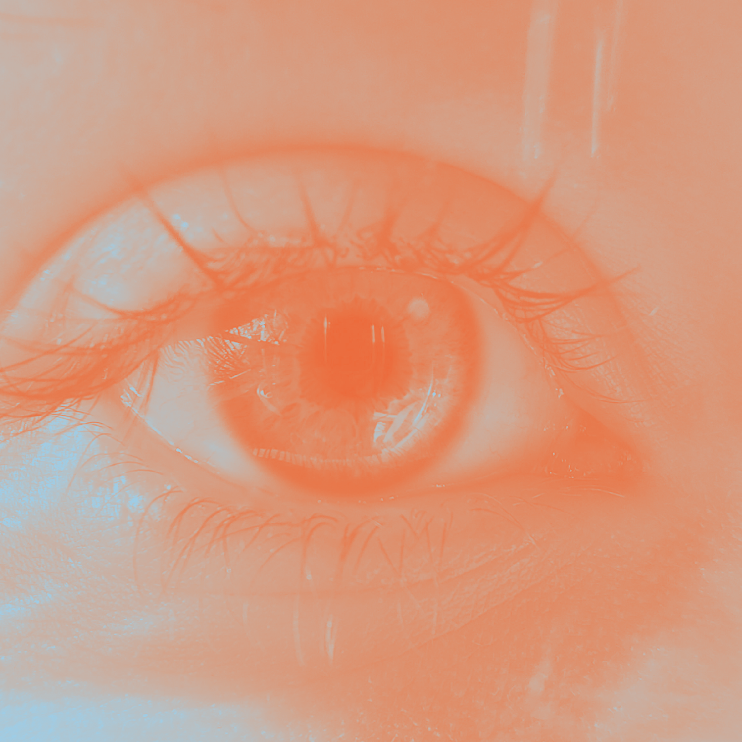 Close-up of a curious eye — duotone